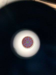 1546D122-A5F3-411C-AD8C-A187C81BCCC5.jpeg