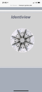 1212D3F5-803C-4F95-BCDF-9B68C56FF50B.png