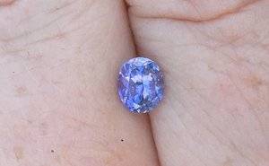 IMG_5480.JPG