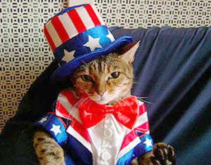 fourthofjulykitty.jpg
