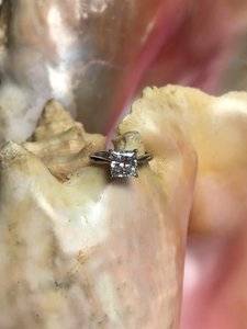 IMG_0560a.jpeg