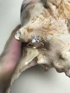 IMG_0556.JPEG
