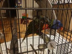 Resized_20190707_201600_01.jpeg