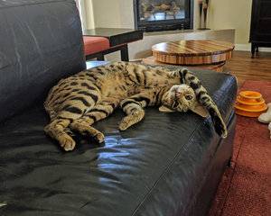 Tired.jpg