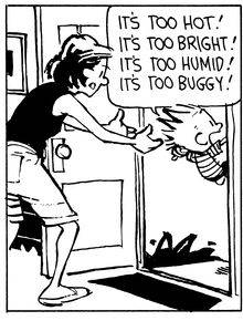 toohotcalvinandhobbes.jpg