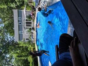 IMG_20190714_152253.jpg