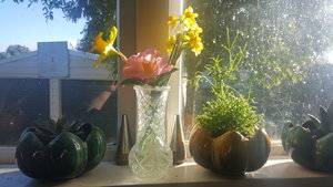20190722_094040.jpg