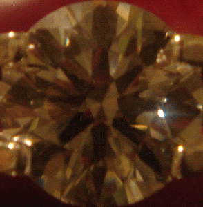 DSC01373.GIF