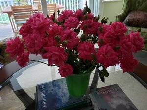 20190725_181200.jpg