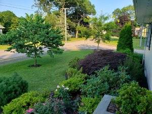20190725_182122.jpg