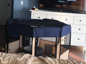 playpen.jpg