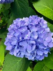 9C82745A-295B-483A-8DC0-110DB1F0A8F1.jpeg