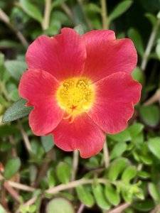 B18ED75E-A71B-4DF5-9586-3AEAAB75019A.jpeg