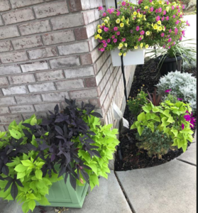 upload_2019-7-27_11-8-51.png