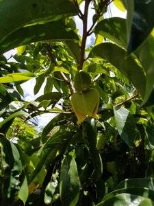 20190729_122051[1].jpg