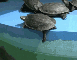 upload_2019-8-2_15-6-52.gif