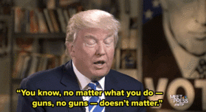 gunstrump.gif