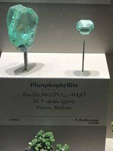 50AD7737-F37B-46C8-A7B2-BFB3D2D3A74C.jpeg