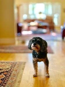 IMG_0283.jpeg IMG_0283.jpeg
