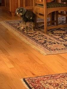 IMG_3144.jpeg IMG_3144.jpeg