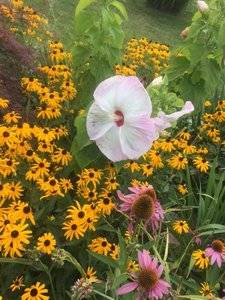 D5F9C046-677A-4568-A174-76D630D1D319.jpeg