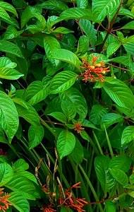 20190812_080957.jpg
