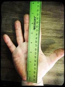 HipstamaticPhoto-male adult 7 inch small hand.jpg