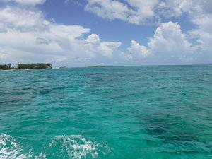 DSCF0281.JPG