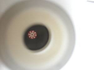 20190810_152514.jpg 20190810_152514.jpg