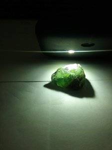 20190814_100347.jpg