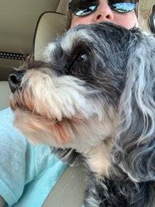 IMG_3567.jpeg