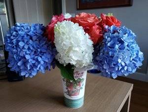 20190824_182211.jpg