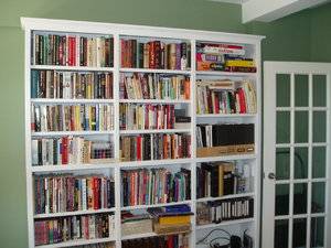 Library Bookshelves.jpg
