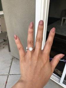 IMG_4326.jpeg