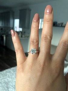 IMG_4322.jpeg IMG_4322.jpeg
