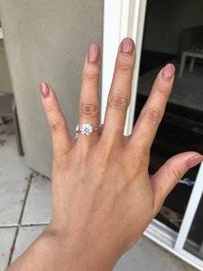 IMG_4324.jpeg