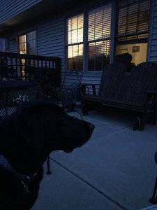 D45BDA2C-0218-452E-B9C7-D7840B0656BE.jpeg