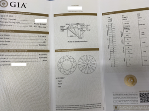 GIA Report.png