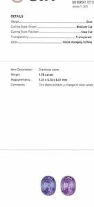 232F0C30-377E-4930-99D6-AEA9EAA3F283.jpeg
