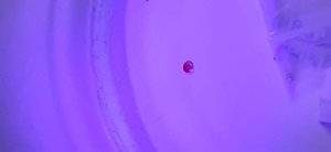 20190909_183831.jpg