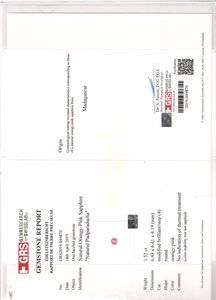 mmexport1568626428108.jpg mmexport1568626428108.jpg