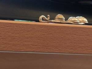 IMG_20190917_161449_1.jpg