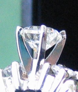 prongcloseup3.jpg