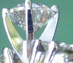prongcloseup1.jpg prongcloseup1.jpg
