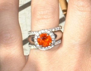 ring2flush.JPG