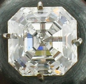 DSCN3079ss.jpg