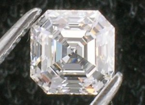 DSCN3110ss.jpg