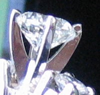 prongcloseup2.jpg