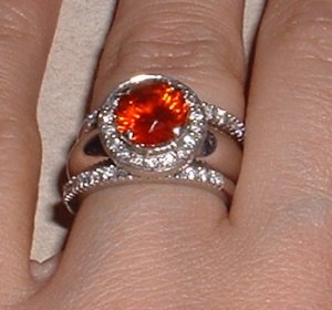 ring3flsuh.JPG