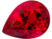 b_ysp429aa.jpg